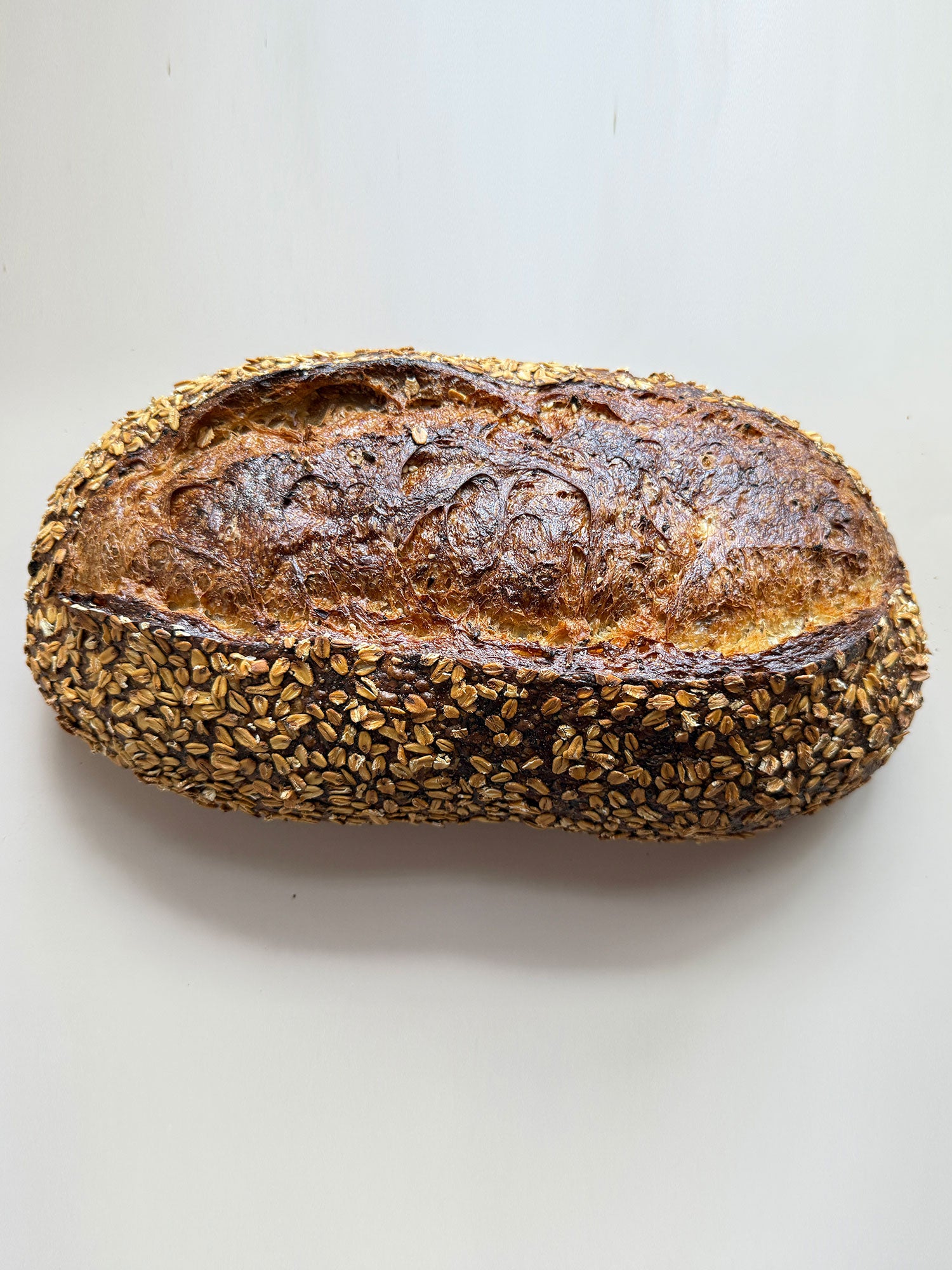 Sprouted Rolled Rye Sprouted Rye – Berkelo